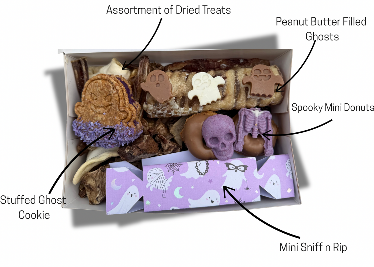 Bark-Spookerie