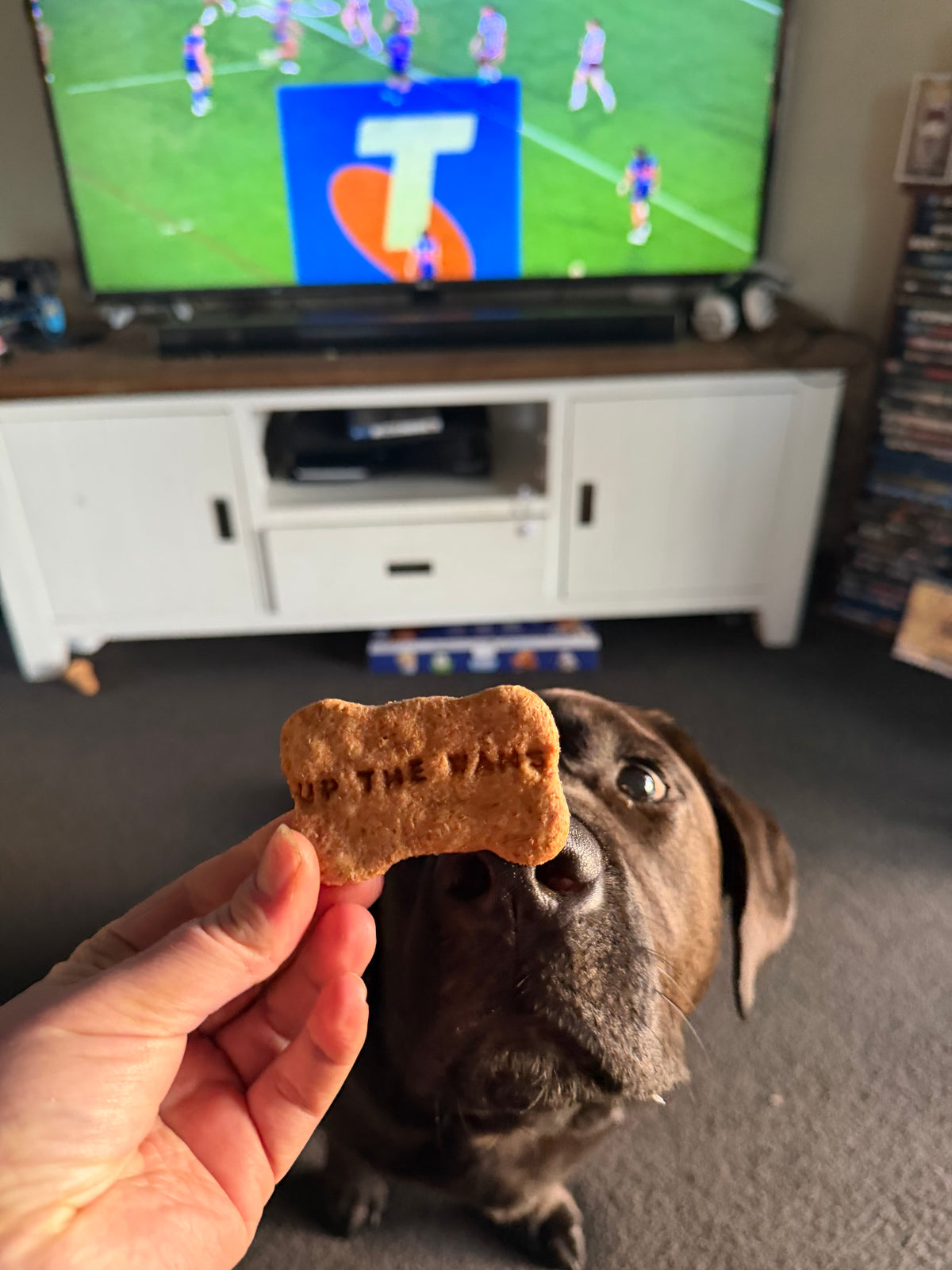Warriors Cookies