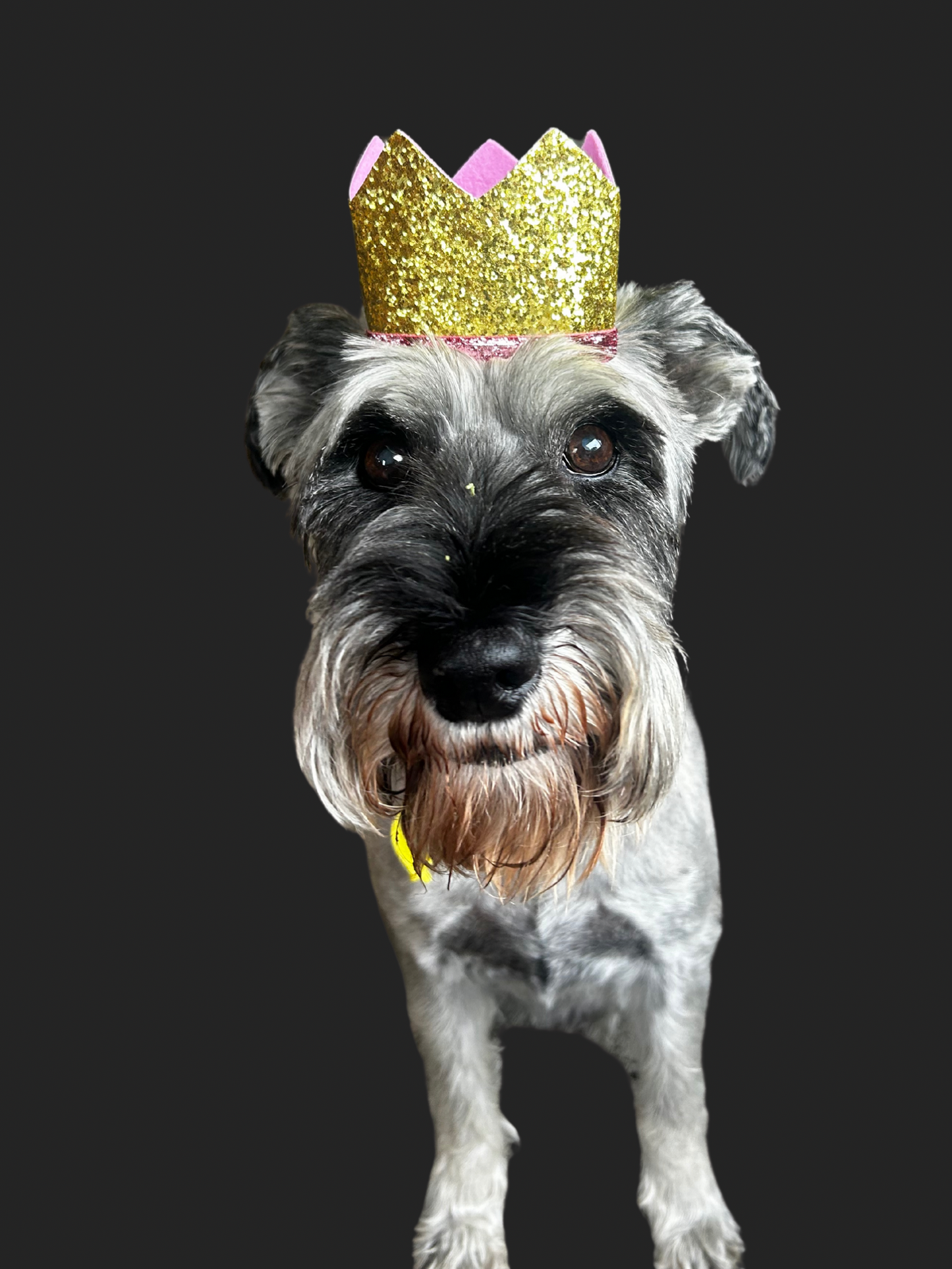 Birthday Crown