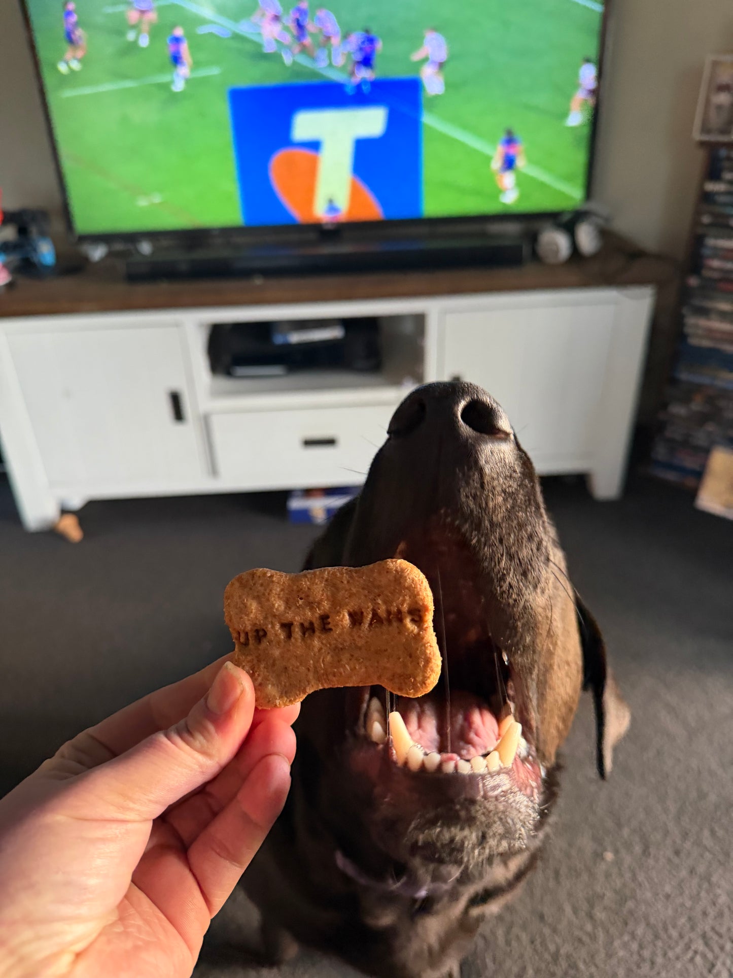 Warriors Cookies